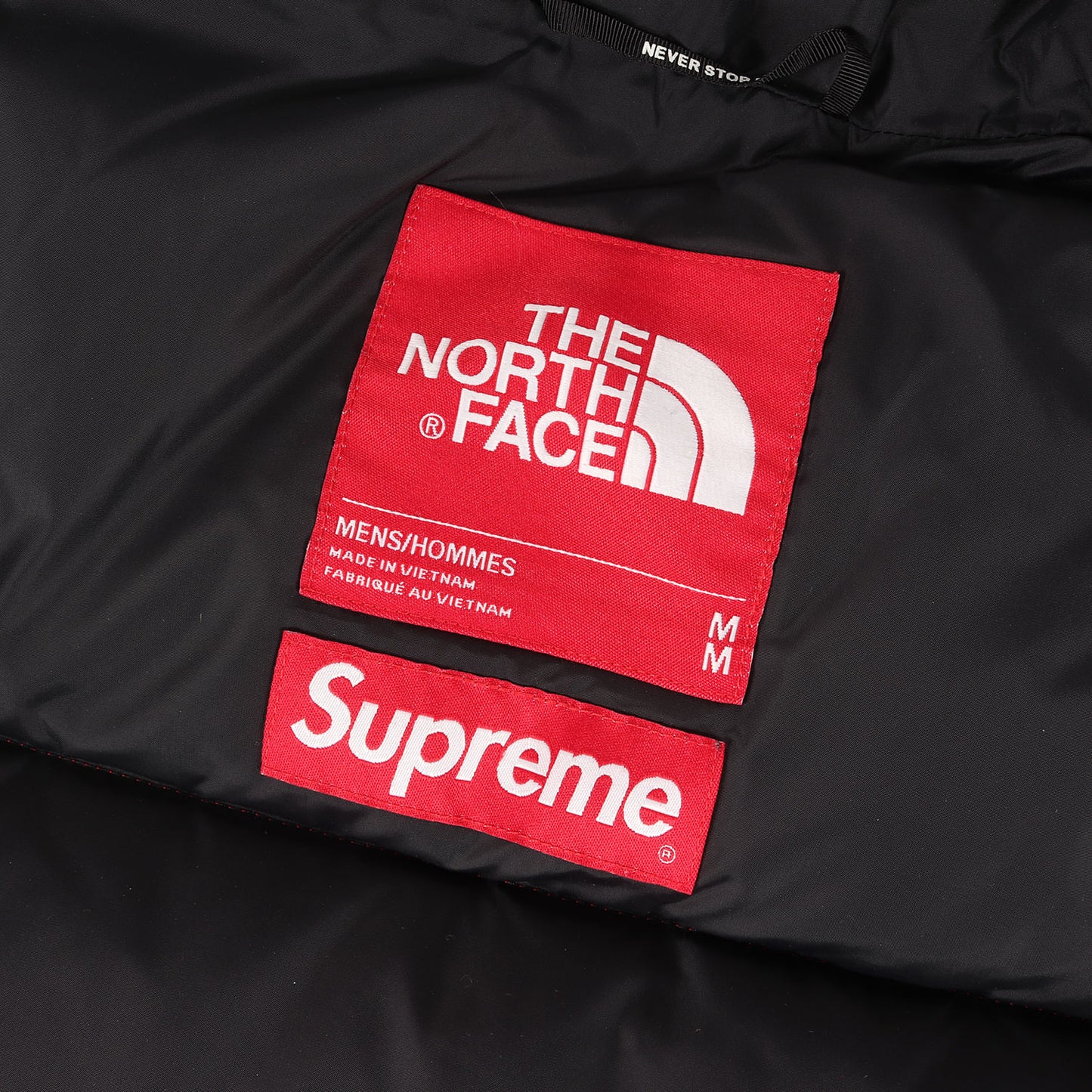 ×THE NORTH FACE フェイクファー ヌプシ ダウンジャケット(Faux Fur Nuptse Jacket)