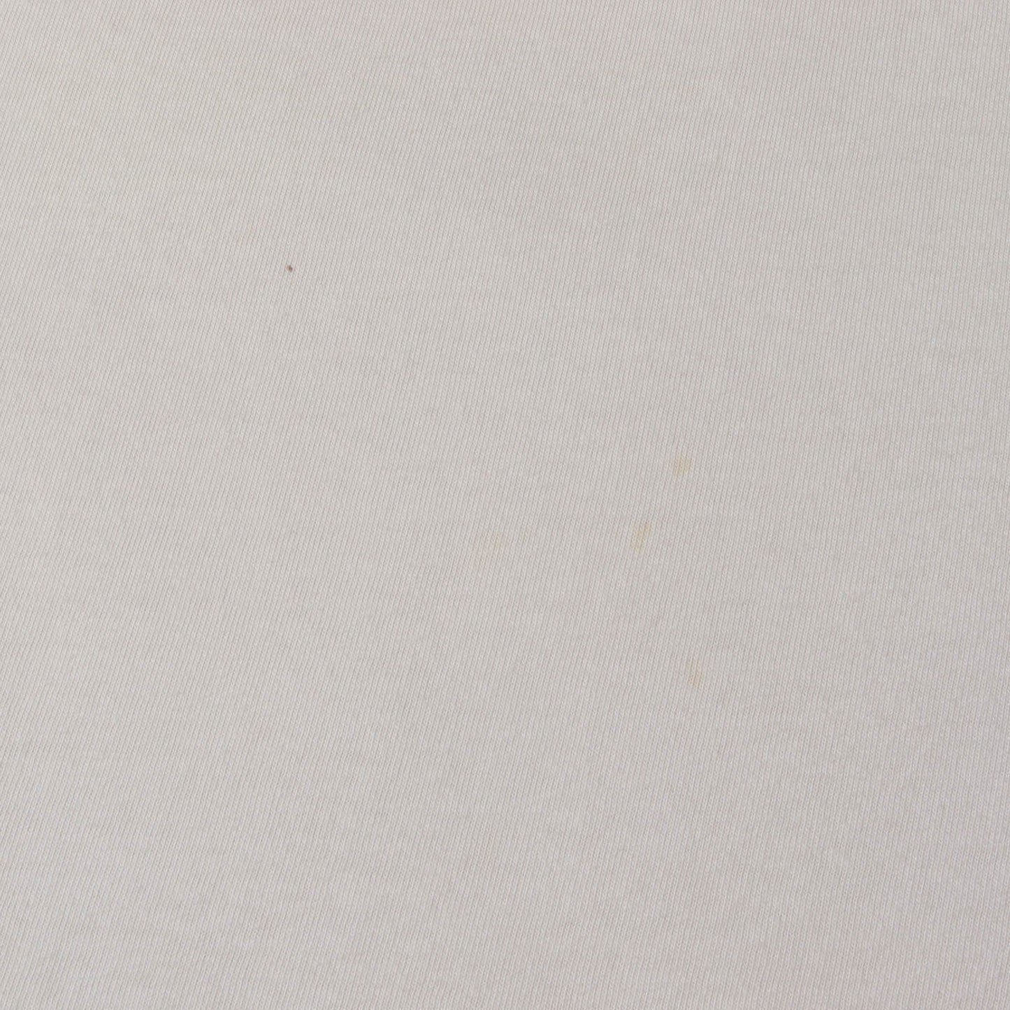 90s OLD STUSSY 白タグ クラウンロゴ Tシャツ(USA製)