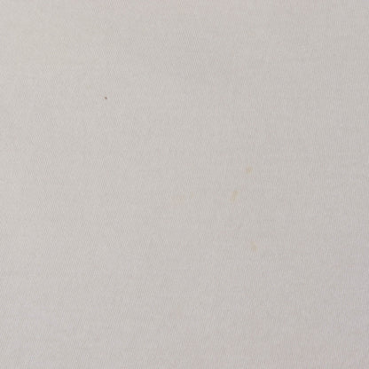 90s OLD STUSSY 白タグ クラウンロゴ Tシャツ(USA製)