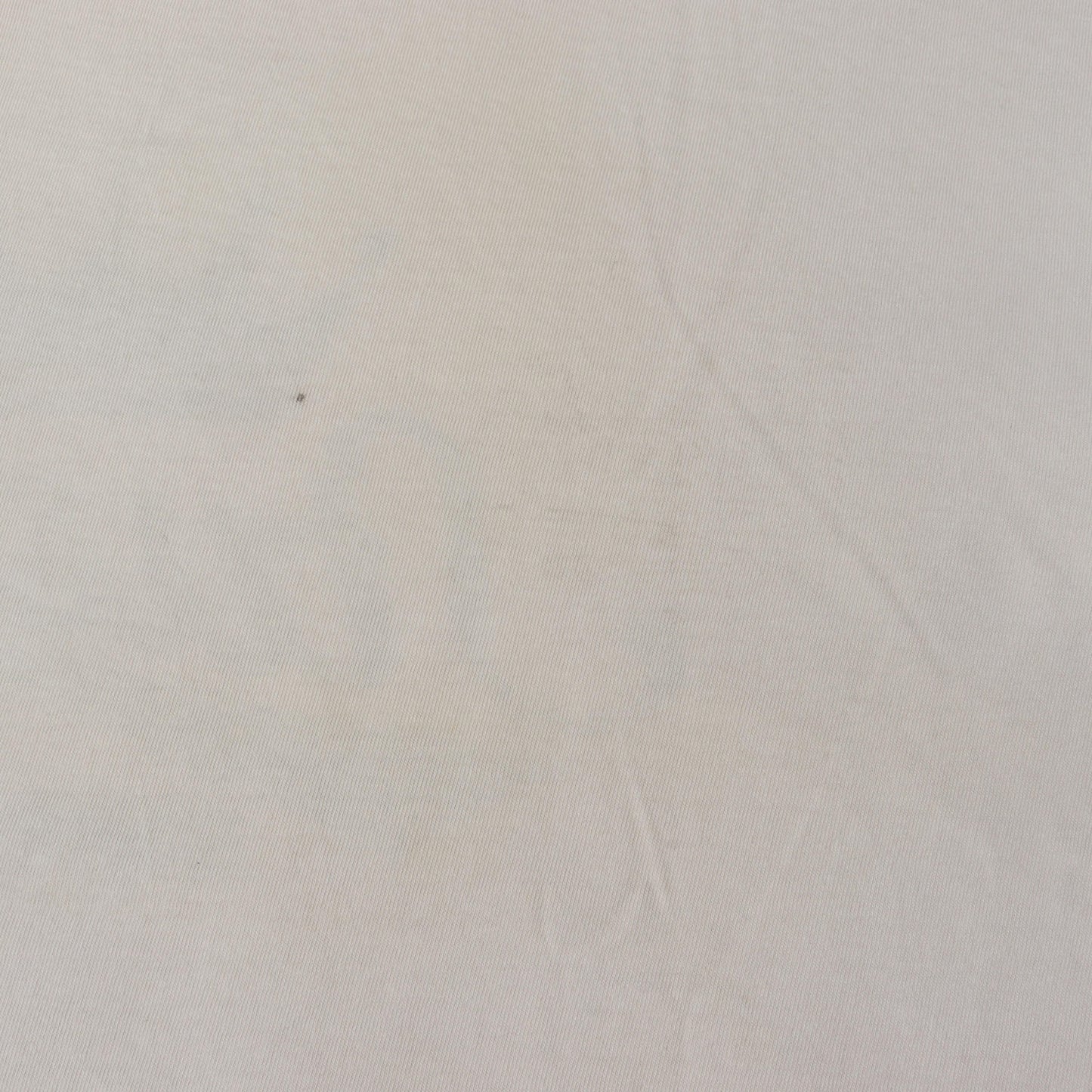 90s OLD STUSSY 白タグ クラウンロゴ Tシャツ(USA製)