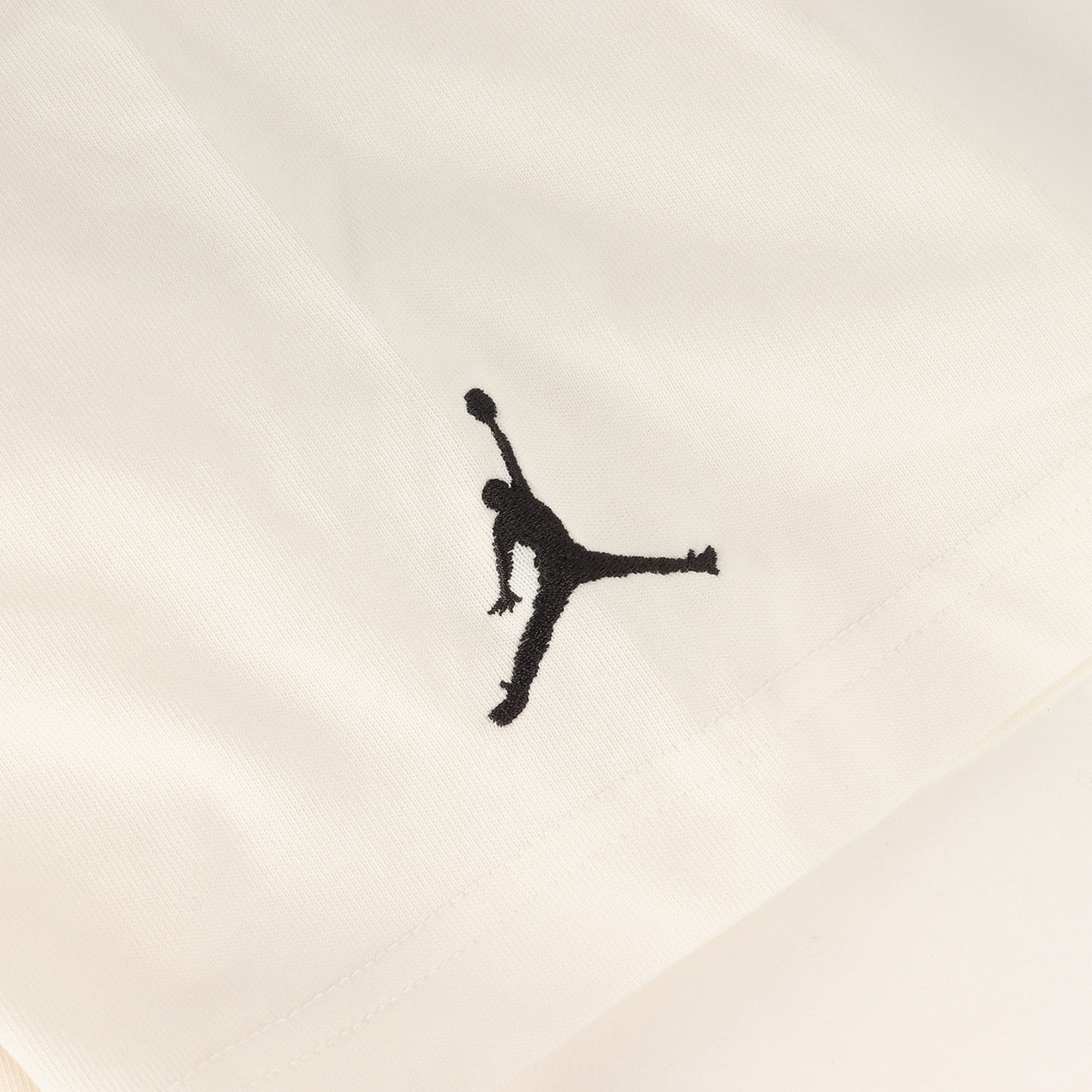 22AW AIR JORDAN 1 CHICAGO プリント Tシャツ(1985 TEE)