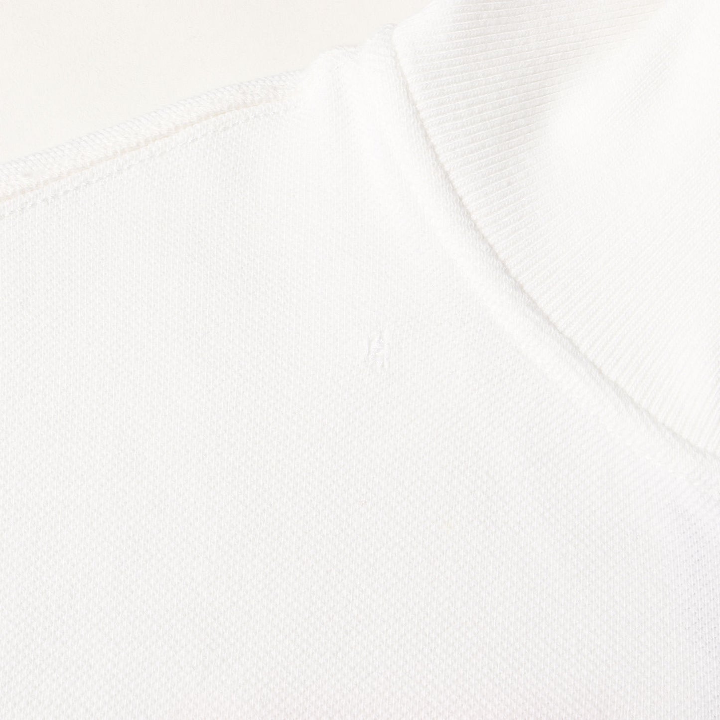 スイスモデル ビッグポニー ジップ 鹿の子スウェット