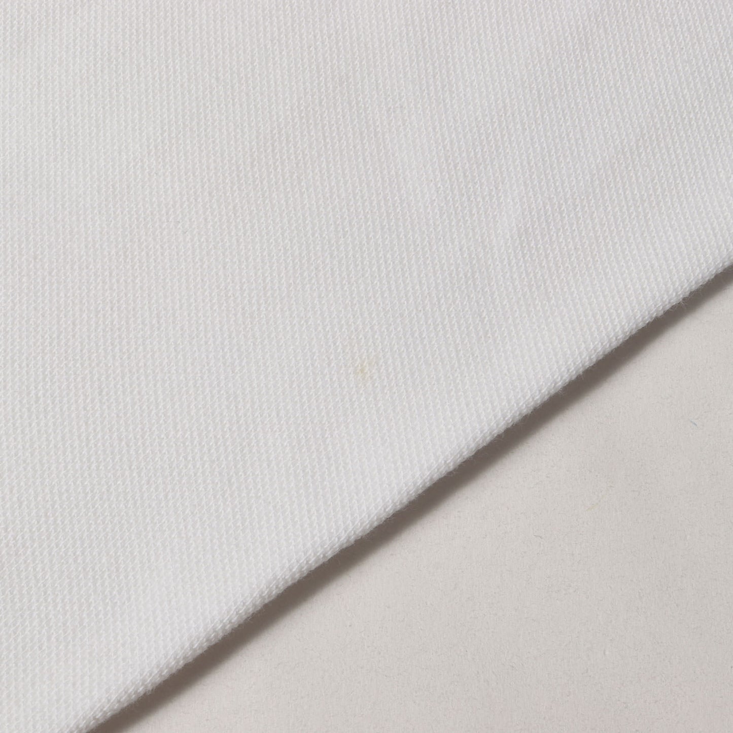 スイスモデル ビッグポニー ジップ 鹿の子スウェット