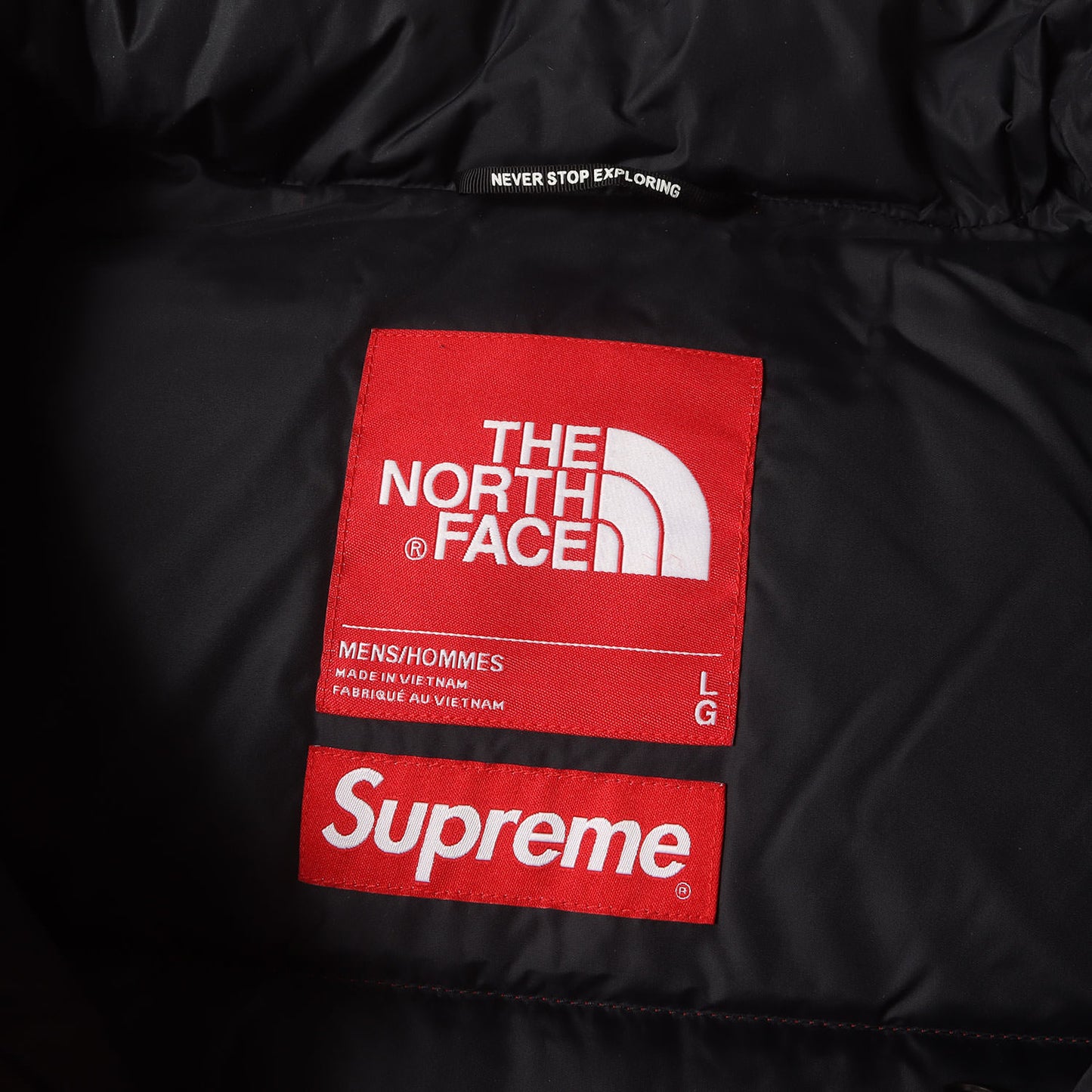 20AW ×THE NORTH FACE フェイクファー ヌプシ ダウンジャケット(Faux Fur Nuptse Jacket)
