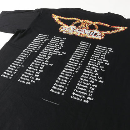 90s Aerosmith Nine Lives WORLD TOUR Tシャツ(giantボディ)