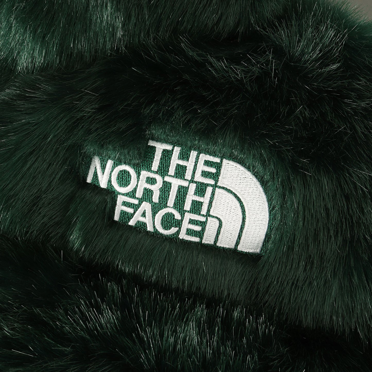 ×THE NORTH FACE フェイクファー ヌプシ ダウンジャケット(Faux Fur Nuptse Jacket)