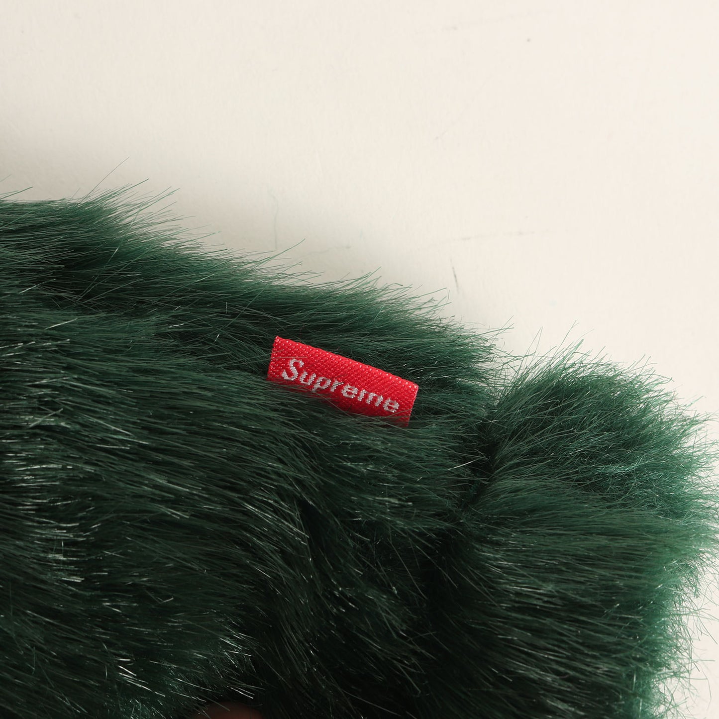 ×THE NORTH FACE フェイクファー ヌプシ ダウンジャケット(Faux Fur Nuptse Jacket)