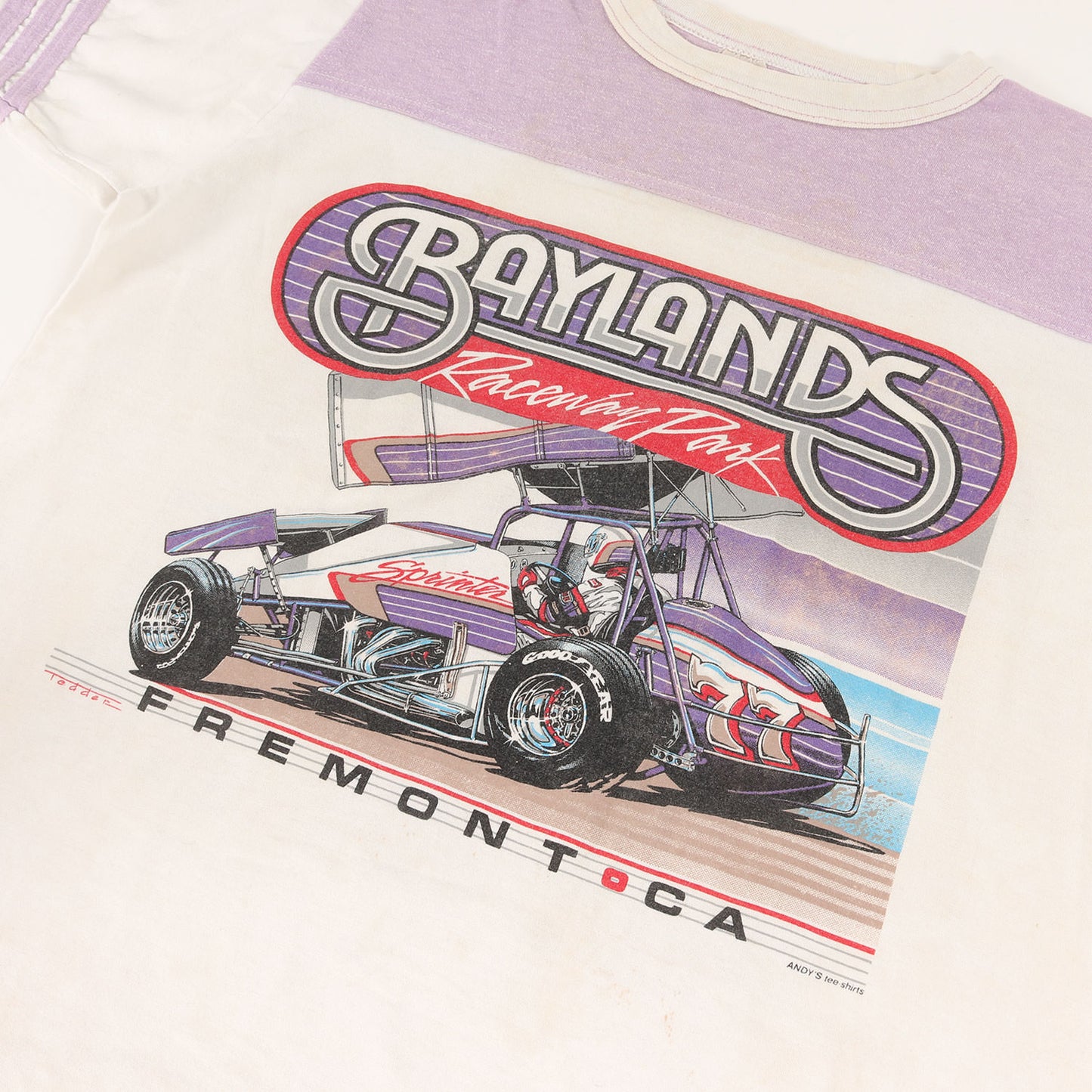 80s 企業物 BAYLANDS RACEWAY PARK フットボール Tシャツ(ANDYS tee-shirtsボディ / USA製)