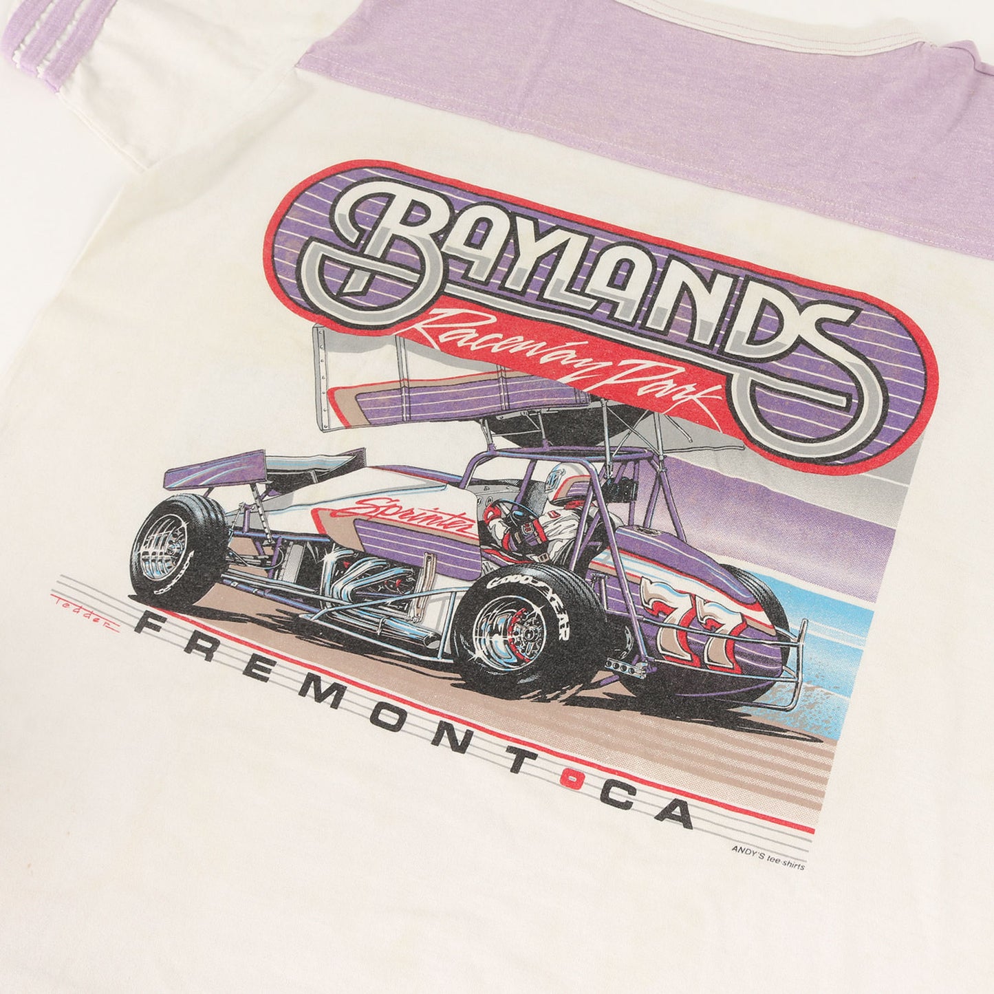 80s 企業物 BAYLANDS RACEWAY PARK フットボール Tシャツ(ANDYS tee-shirtsボディ / USA製)