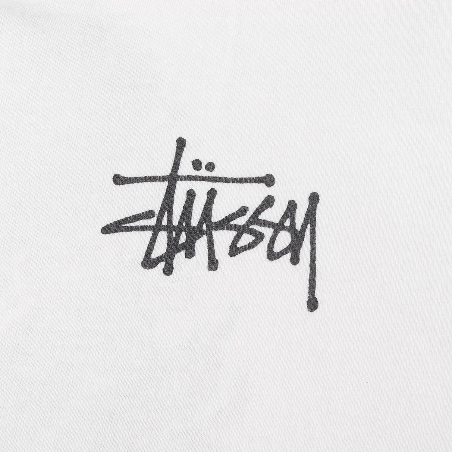 STUSSY (ステューシー) 90s OLD STUSSY 紺タグ ドラゴン Tシャツ(USA製