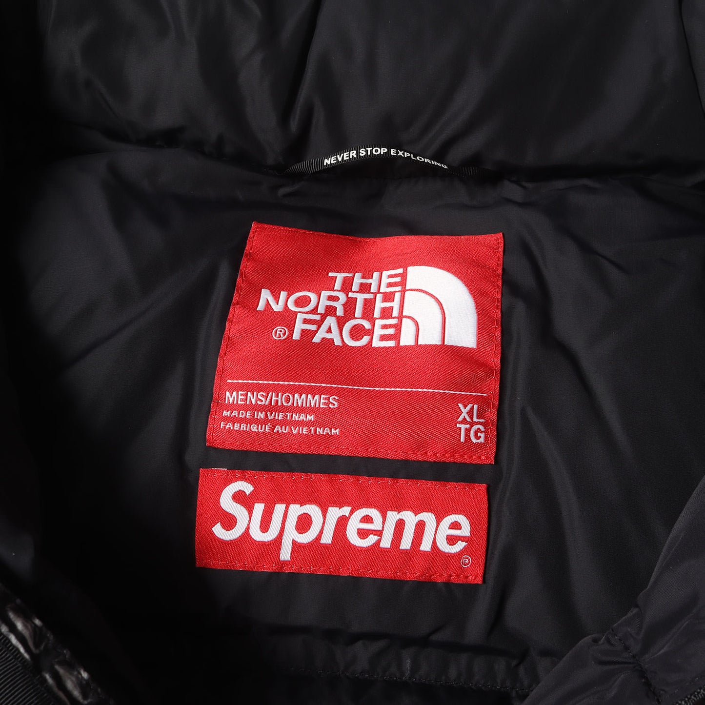 21SS ×THE NORTH FACE スタッズ柄 ヌプシ ダウンジャケット(Studded Nuptse Jacket)