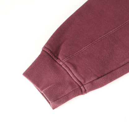 22AW ビッグロゴ チーム スウェットパーカー(BIG LOGO TEAM SWEAT HOODIE)