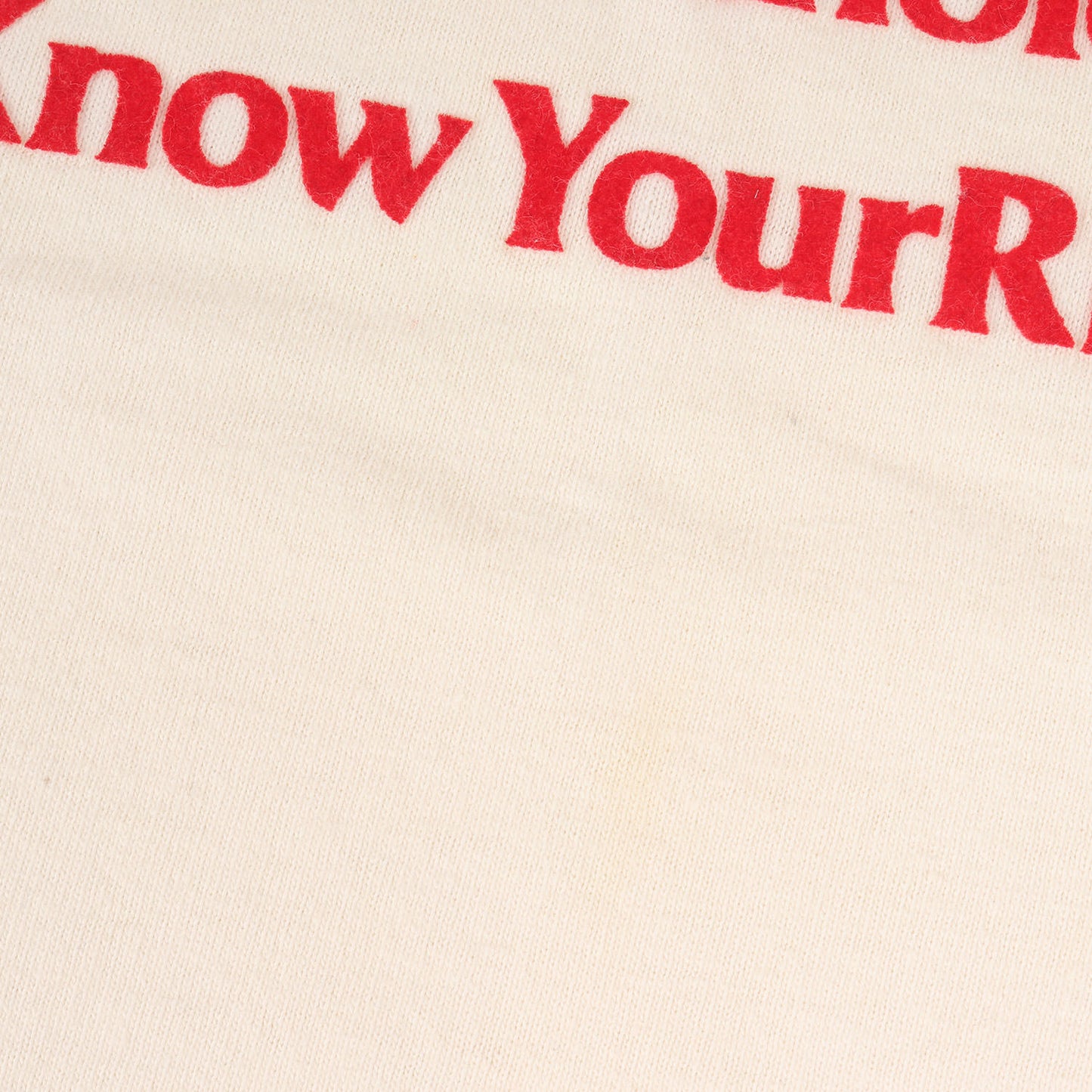 00s PHILOSOPHYストア限定 フロッキープリント ラグラン 7分袖 Tシャツ