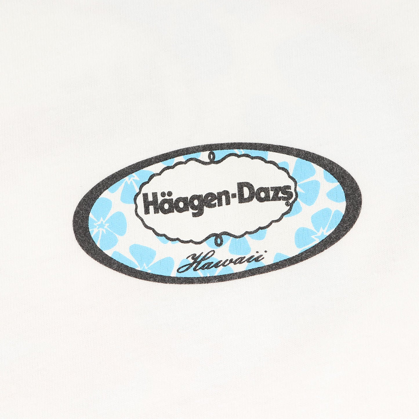 00s 企業物 Haagen-Dazs ハワイ限定 Tシャツ(Hanesボディ) / ハーゲンダッツ