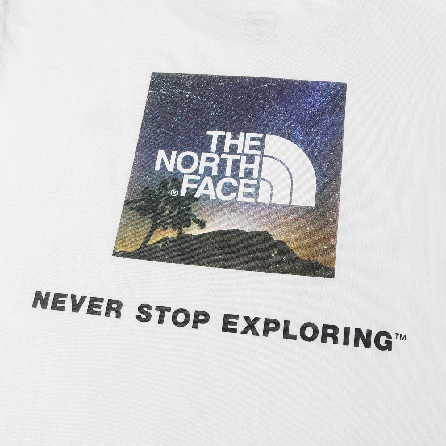 ゼビオグループ限定 フォトプリント Tシャツ