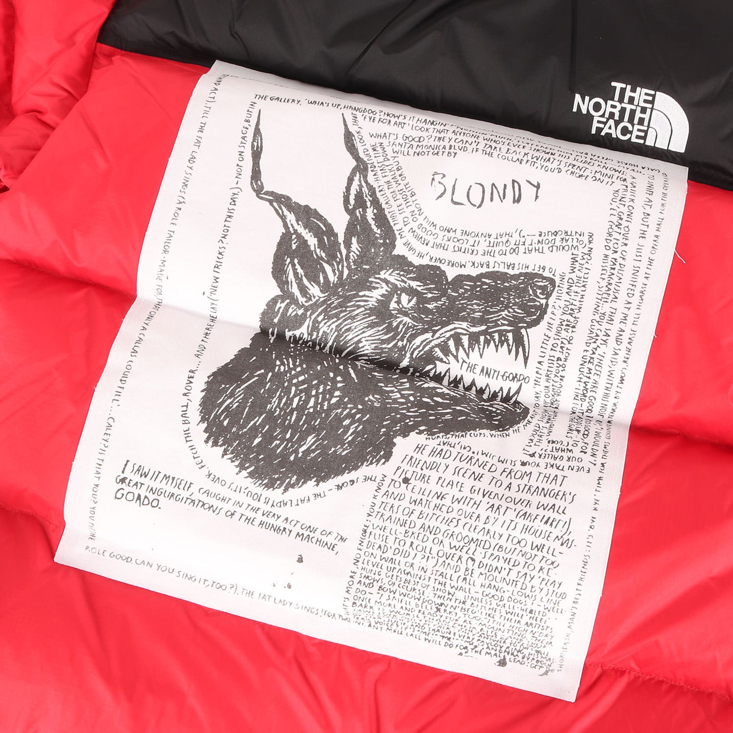 24AW ×THE NORTH FACE パッチ付き ヌプシ ダウンジャケット(Nuptse Jacket)