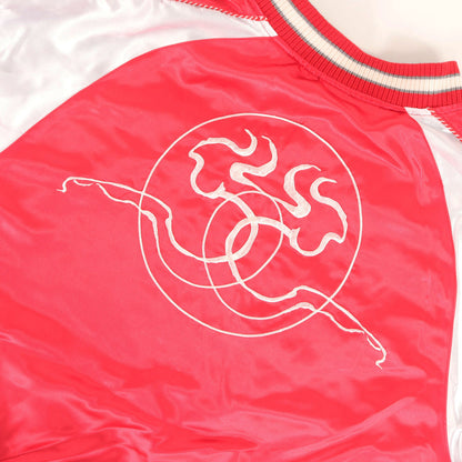 辰年モデル ドラゴン リバーシブル 別珍 スカジャン