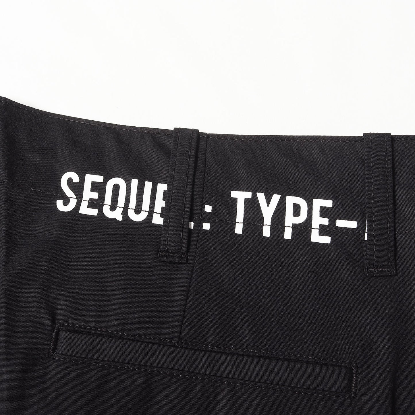 21SS コットンポプリン ワーク チノパンツ(CHINO PANTS TYPE-F)