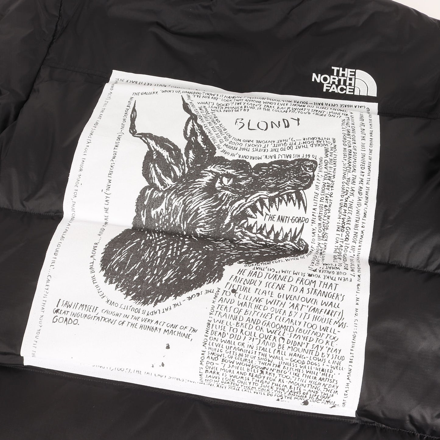 24AW ×THE NORTH FACE パッチ付き ヌプシ ダウンジャケット(Nuptse Jacket)