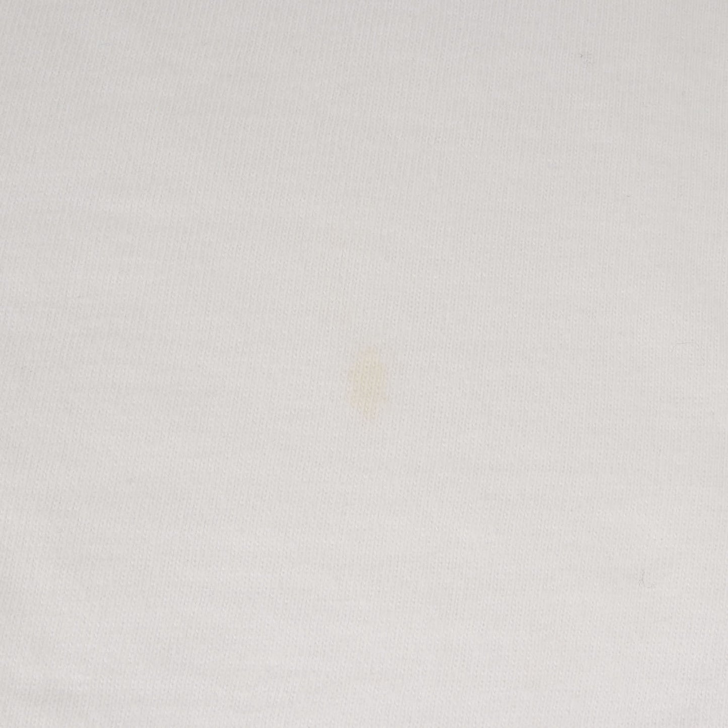 24AW テラ・パトリック フォト柄 ブランドロゴ Tシャツ(Tera Patrick Tee)