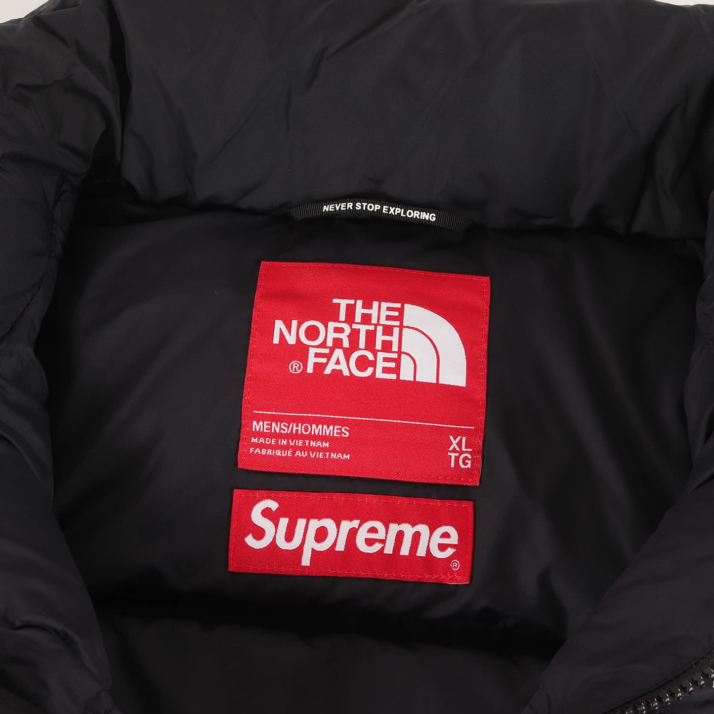 21SS ×THE NORTH FACE スタッズ柄 ヌプシ ダウンジャケット(Studded Nuptse Jacket)