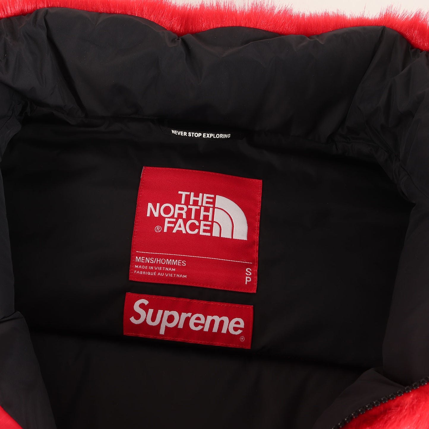 20AW ×THE NORTH FACE フェイクファー ヌプシ ダウンジャケット(Faux Fur Nuptse Jacket)