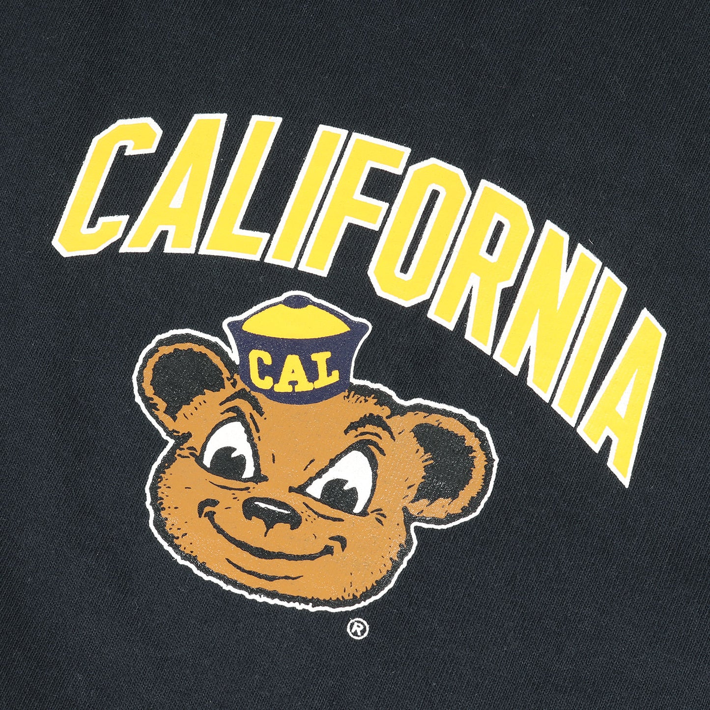 22SS 限定販売 T1011 ×UCB / カリフォルニア大学バークレー校 カレッジ ヘビー Tシャツ(USA製)