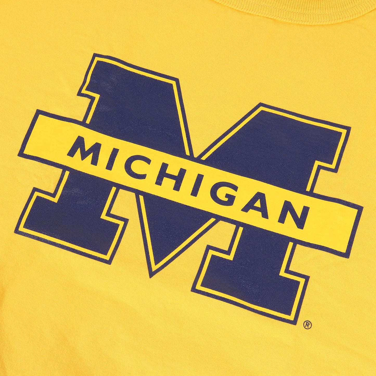 T1011 ×ミシガン大学 カレッジ ヘビー Tシャツ(USA製)