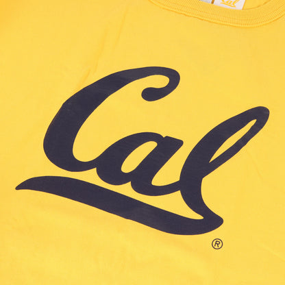 21SS T1011 ×UCB / カリフォルニア大学バークレー校 カレッジ ヘビー Tシャツ(USA製)