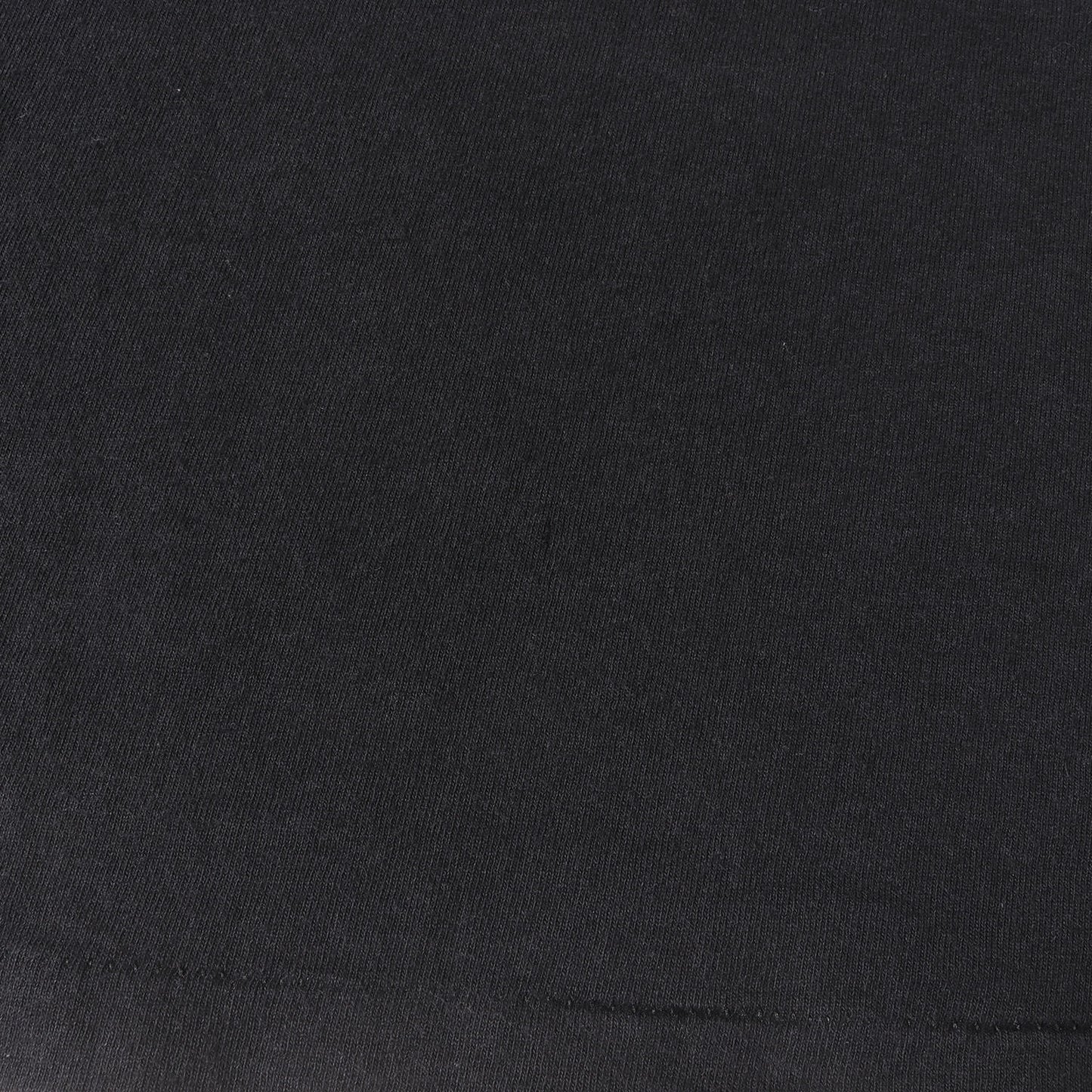 90s The Blues Brothers ムービーTシャツ(All Sportボディ / USA製)