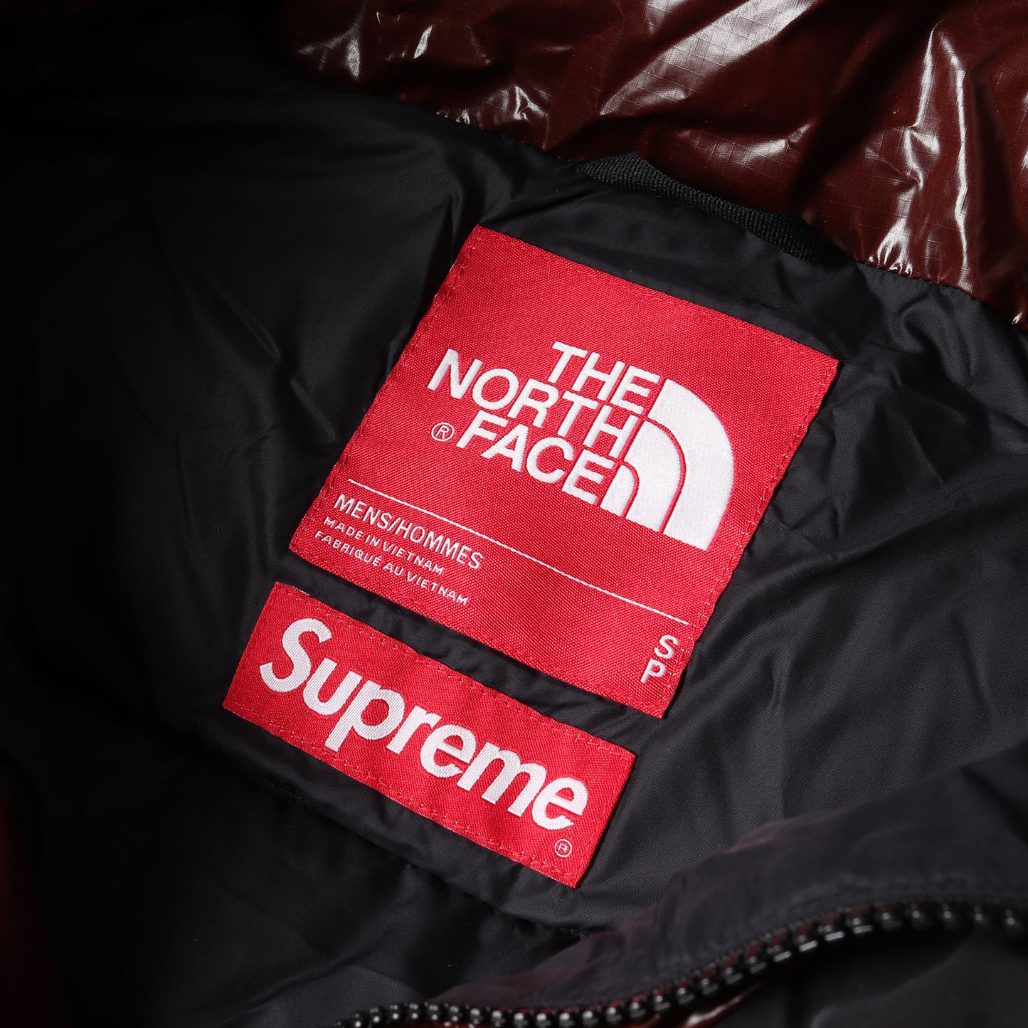 22AW ×THE NORTH FACE 700フィルパワー ダウンパーカー(700-Fill Down Parka)
