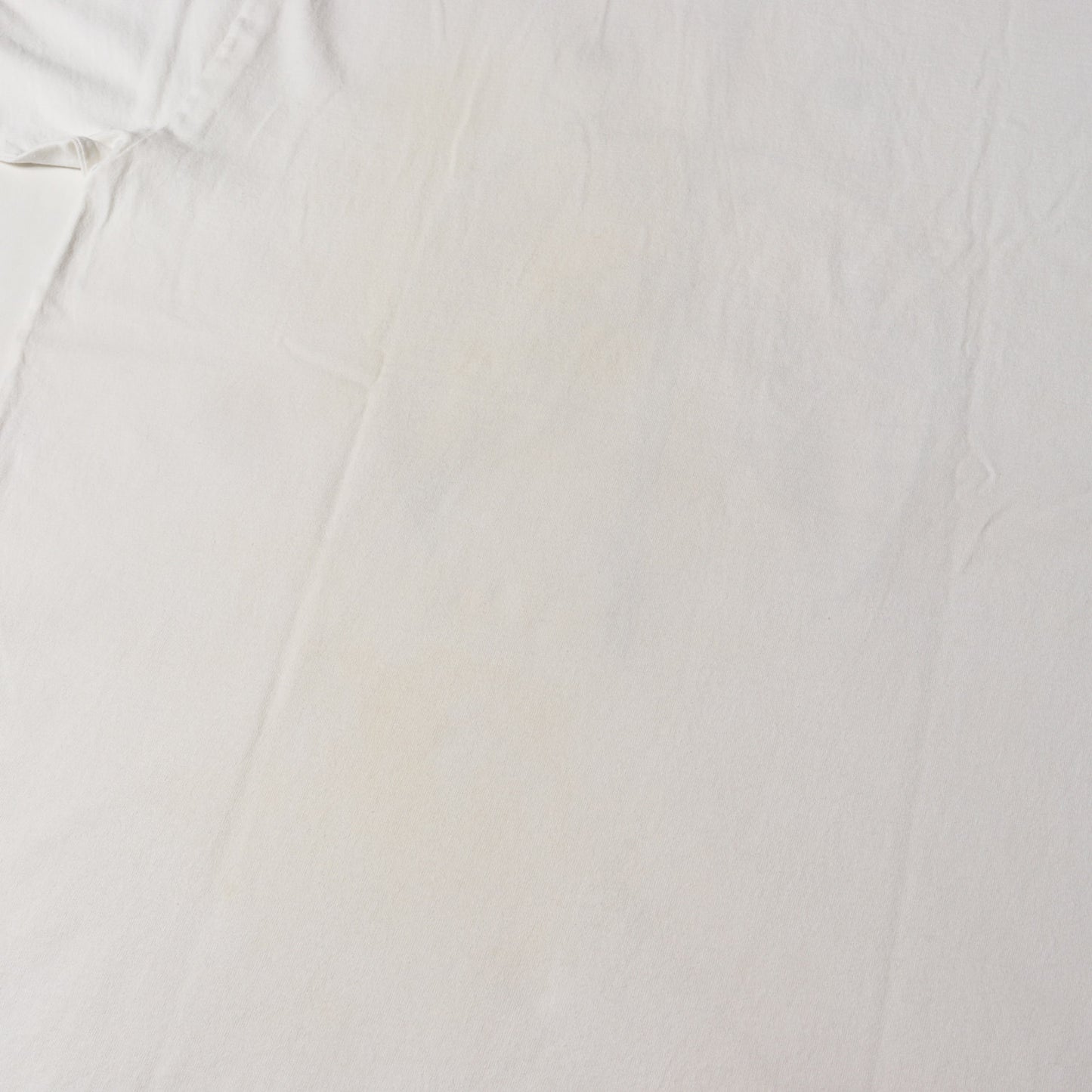 00s NFS限定 スワロフスキー シャーク Tシャツ