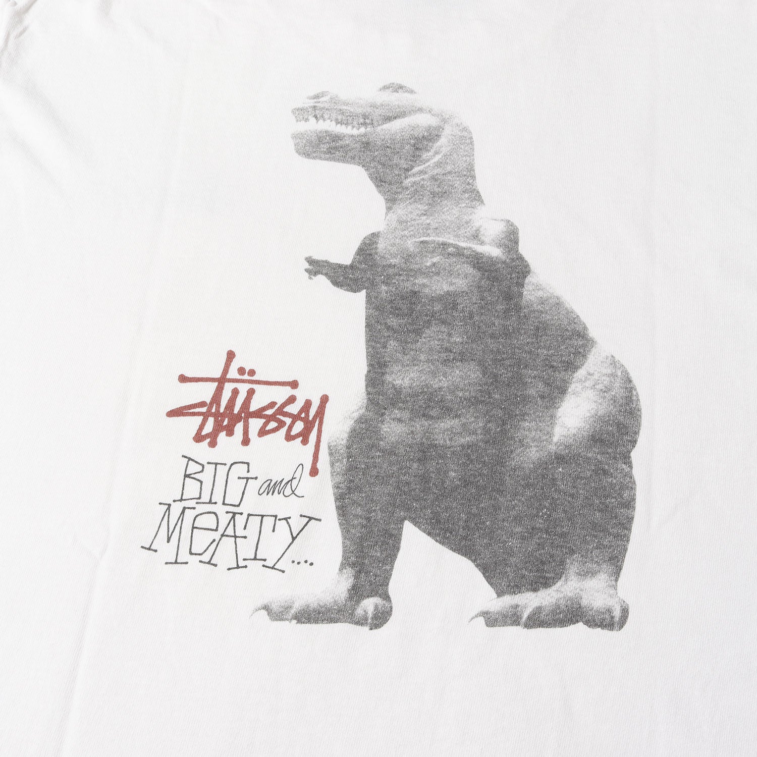 STUSSY (ステューシー) 80s OLD STUSSY 黒タグ T-REX 恐竜 Tシャツ(USA
