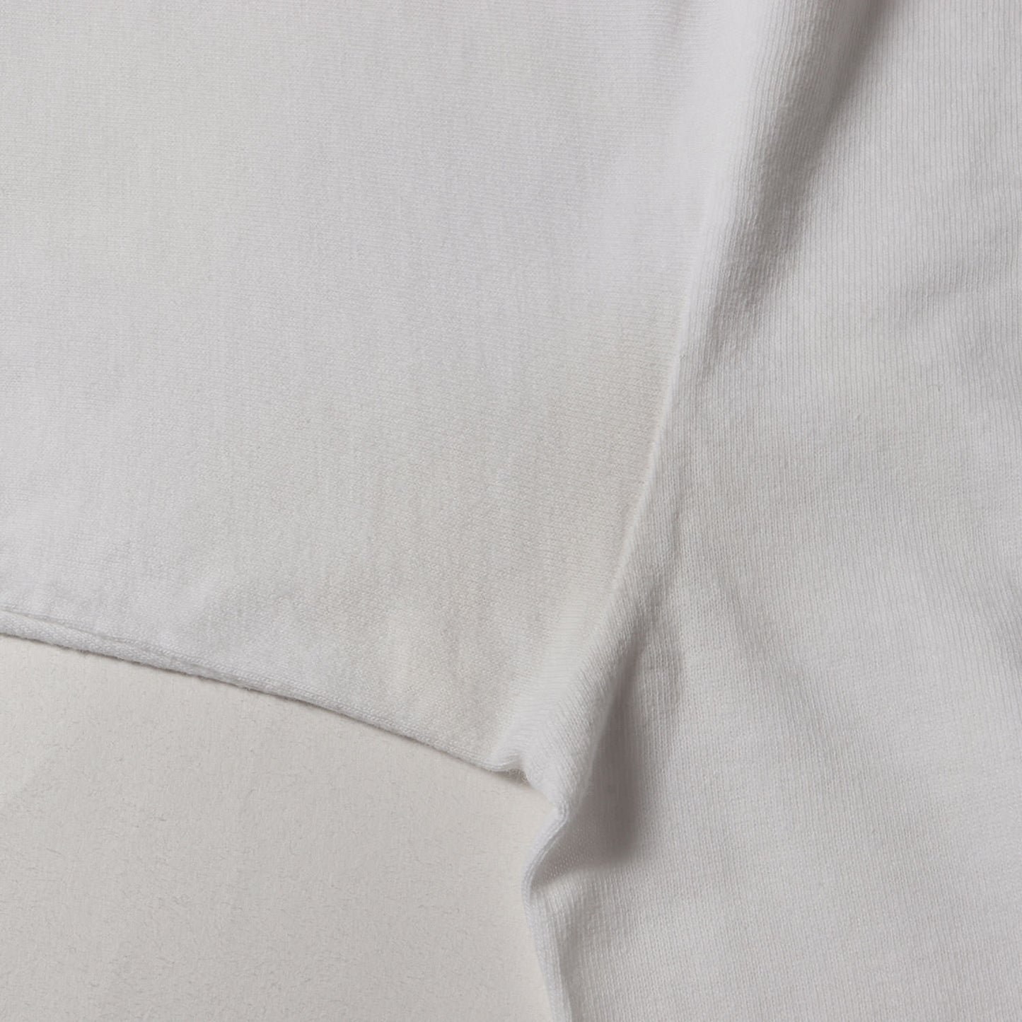 80s OLD STUSSY 黒タグ T-REX 恐竜 Tシャツ(USA製)