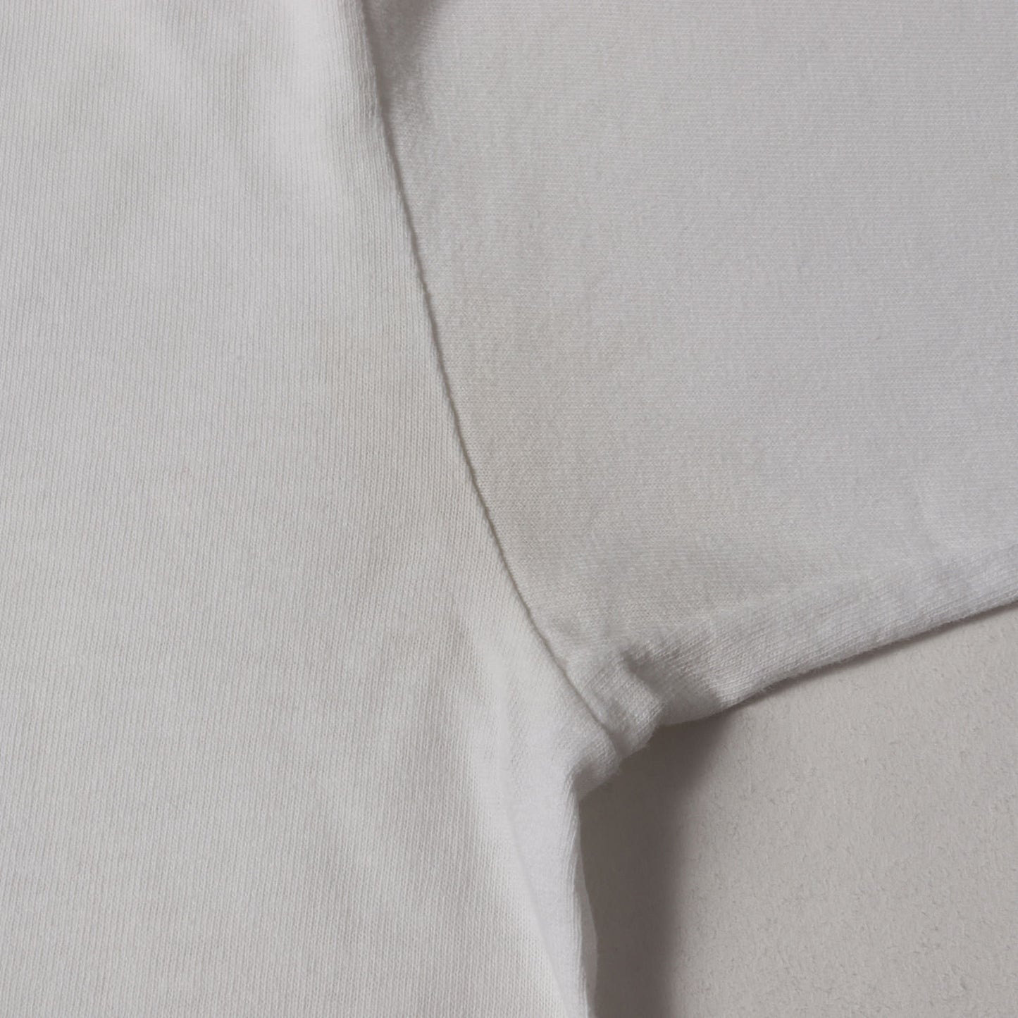 80s OLD STUSSY 黒タグ T-REX 恐竜 Tシャツ(USA製)