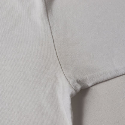 80s OLD STUSSY 黒タグ T-REX 恐竜 Tシャツ(USA製)