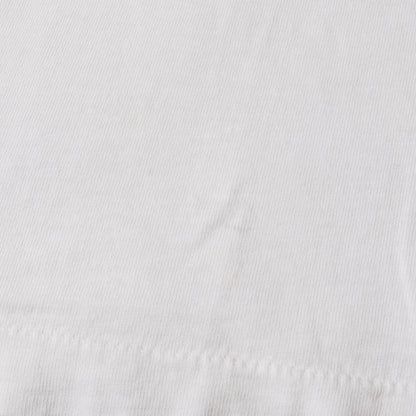 80s OLD STUSSY 黒タグ T-REX 恐竜 Tシャツ(USA製)