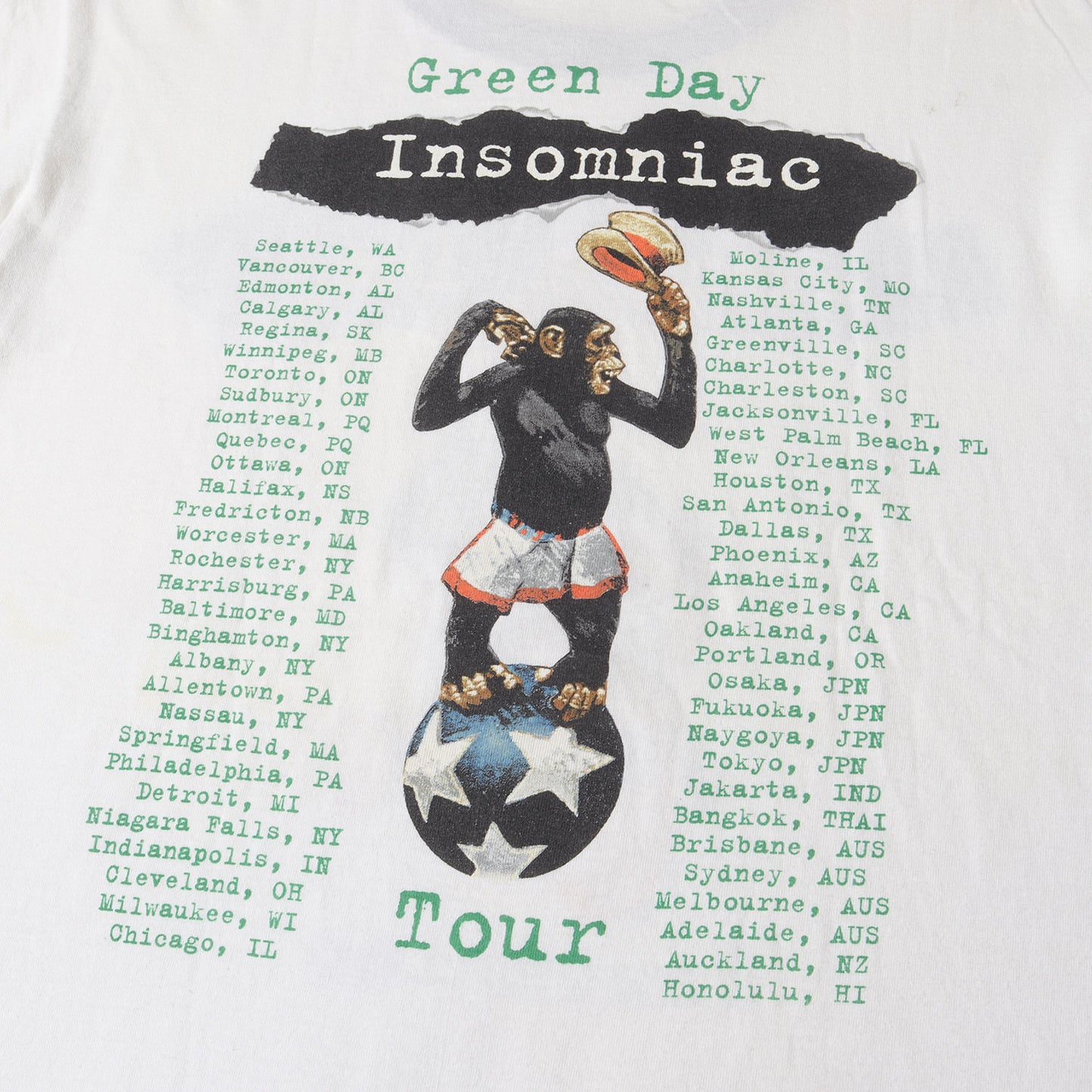 90s Green Day Insomniac Tour リンガーTシャツ(WILD OATSボディ /USA製)