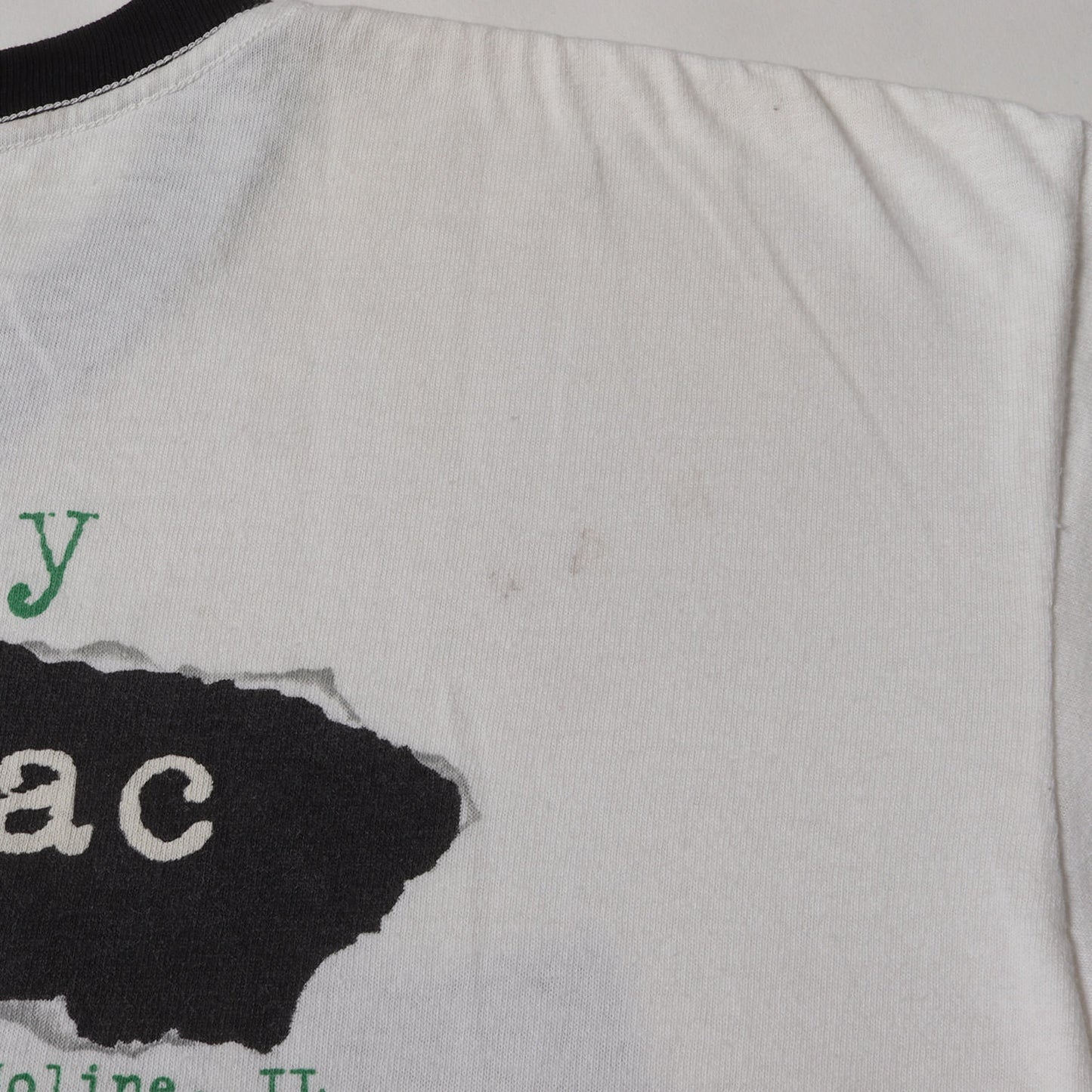 90s Green Day Insomniac Tour リンガーTシャツ(WILD OATSボディ /USA製)