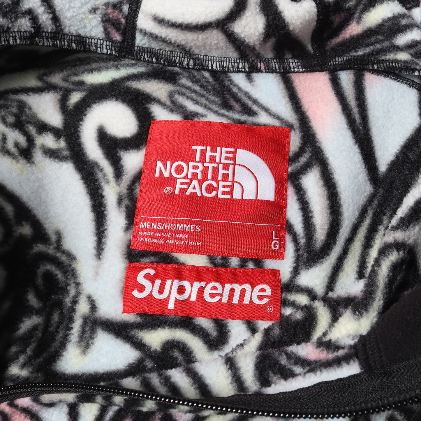 22AW ×THE NORTH FACE Steep Tech ドラゴン柄 プルオーバー フリース ジャケット(Steep Tech Fleece Pullover)