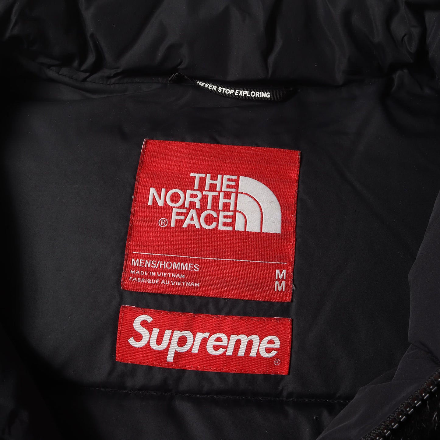 ×THE NORTH FACE フェイクファー ヌプシ ダウンジャケット(Faux Fur Nuptse Jacket)