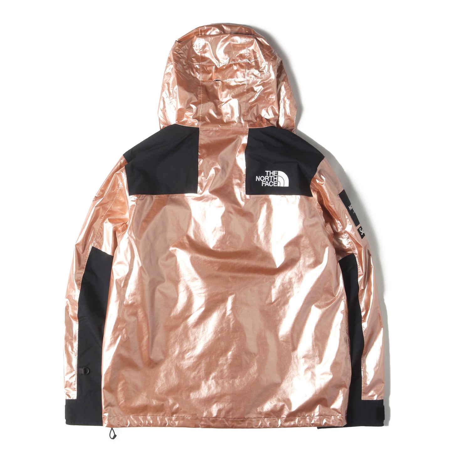 ×THE NORTH FACE メタリック マウンテンパーカー(Metallic Mountain Parka)