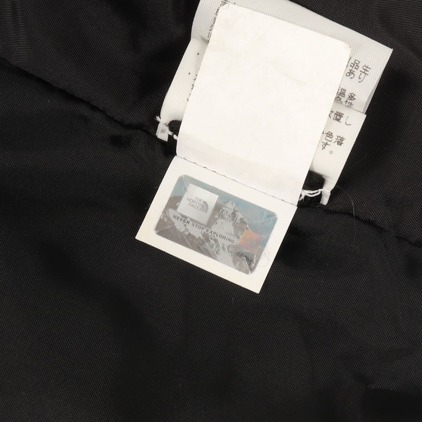 ×THE NORTH FACE メタリック マウンテンパーカー(Metallic Mountain Parka)