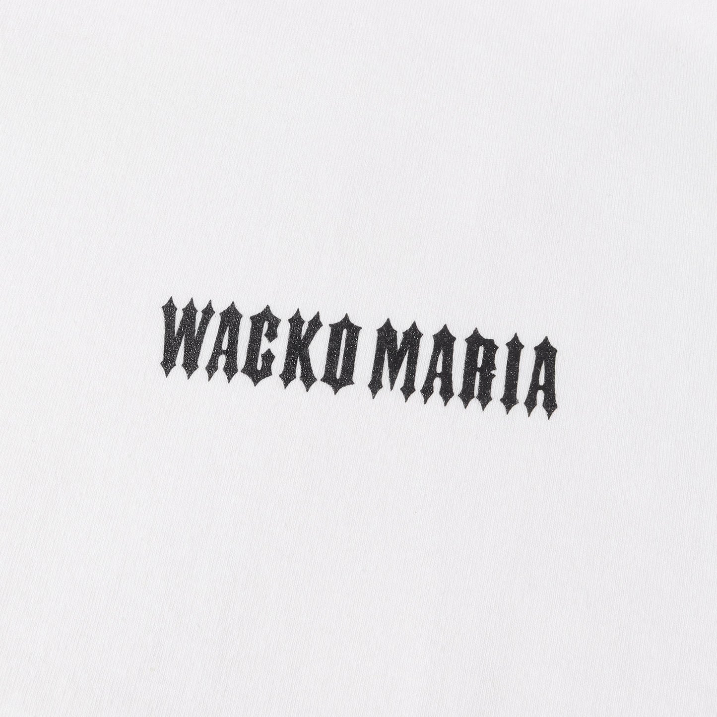 25SS ブランドロゴ ロングスリーブ ヘビー Tシャツ(WASHED HEAVY WEIGHT LONG SLEEVE T-SHIRT)