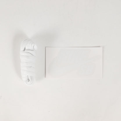 SB PAUL RODRIGUEZ ZOOM AIR LOW QS (HQ6828-100)