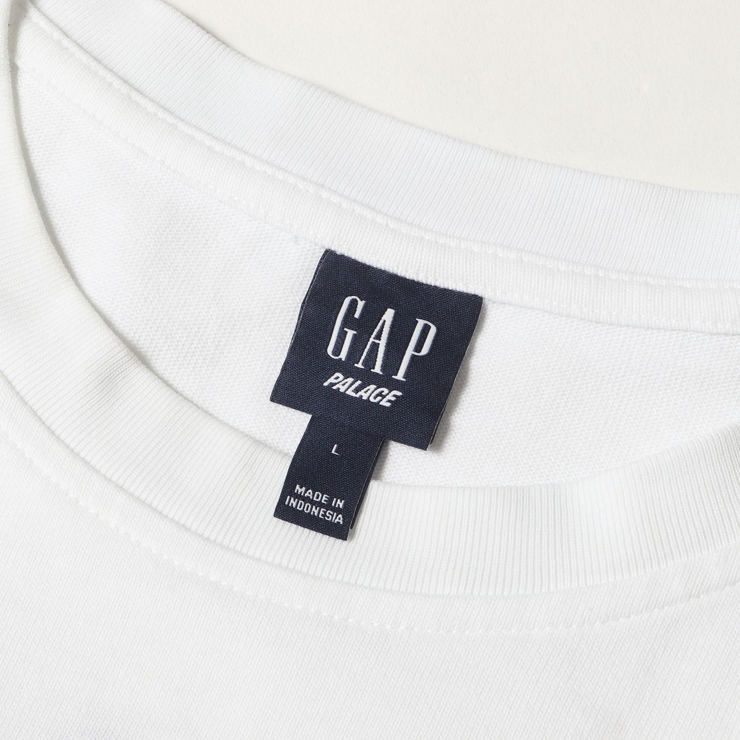 24SS ×GAP 国旗刺繍 ヘビーウェイト Tシャツ(Heavy Jersey T-Shirt)