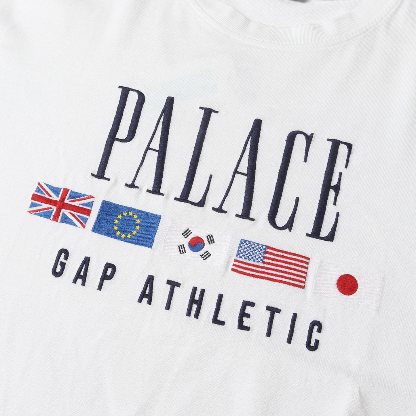 24SS ×GAP 国旗刺繍 ヘビーウェイト Tシャツ(Heavy Jersey T-Shirt)