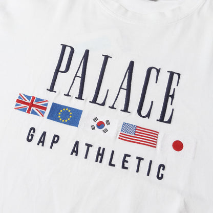 24SS ×GAP 国旗刺繍 ヘビーウェイト Tシャツ(Heavy Jersey T-Shirt)