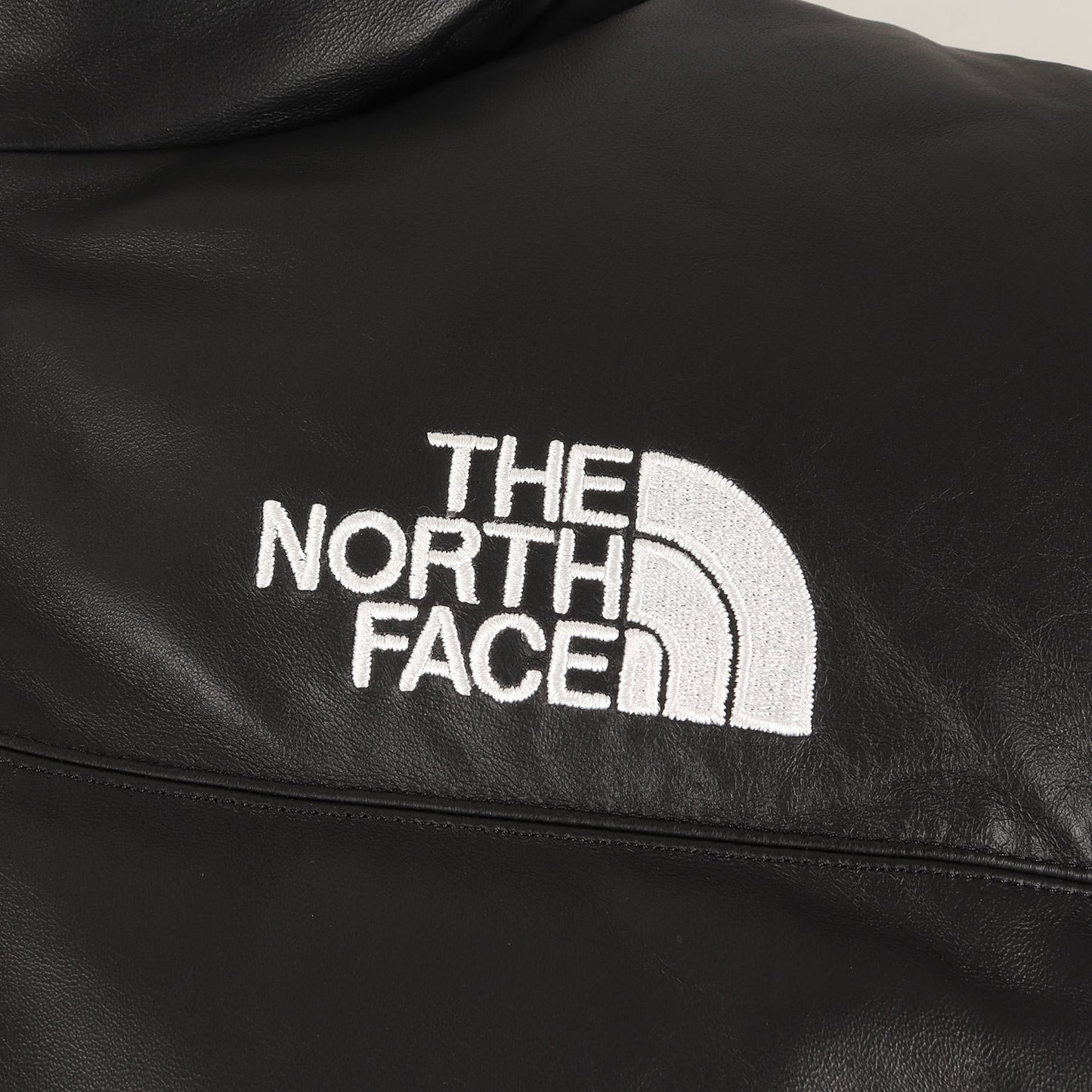 ×THE NORTH FACE シープスキンレザー ヌプシ ダウンジャケット(Leather Nuptse Jacket)