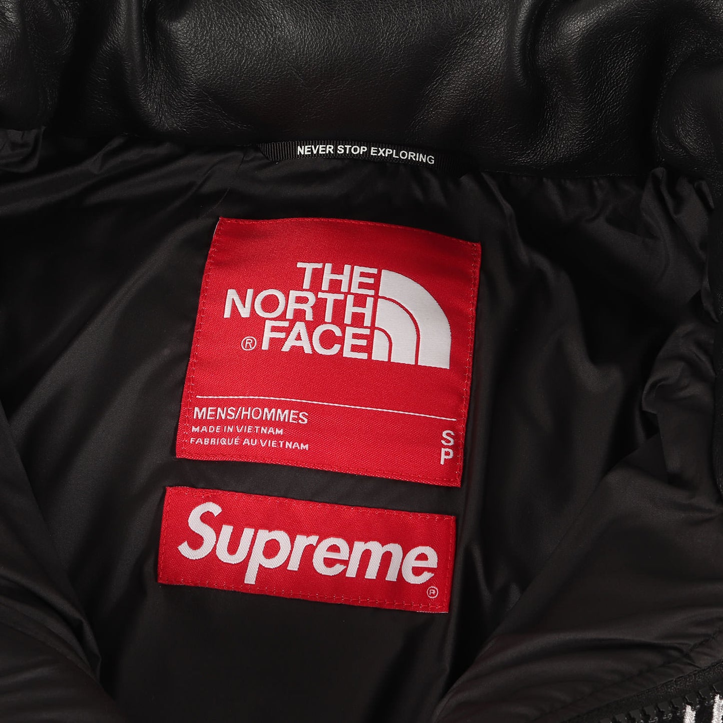 ×THE NORTH FACE シープスキンレザー ヌプシ ダウンジャケット(Leather Nuptse Jacket)